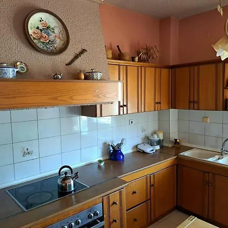 Elenis 190sqmeter With Private Parking And Garden 10min Away From Centre * Thessaloniki