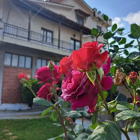 Villa Elenis 190sqmeter With Private Parking And Garden 10min Away From Centre
